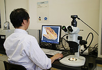 細菌試験室の写真
