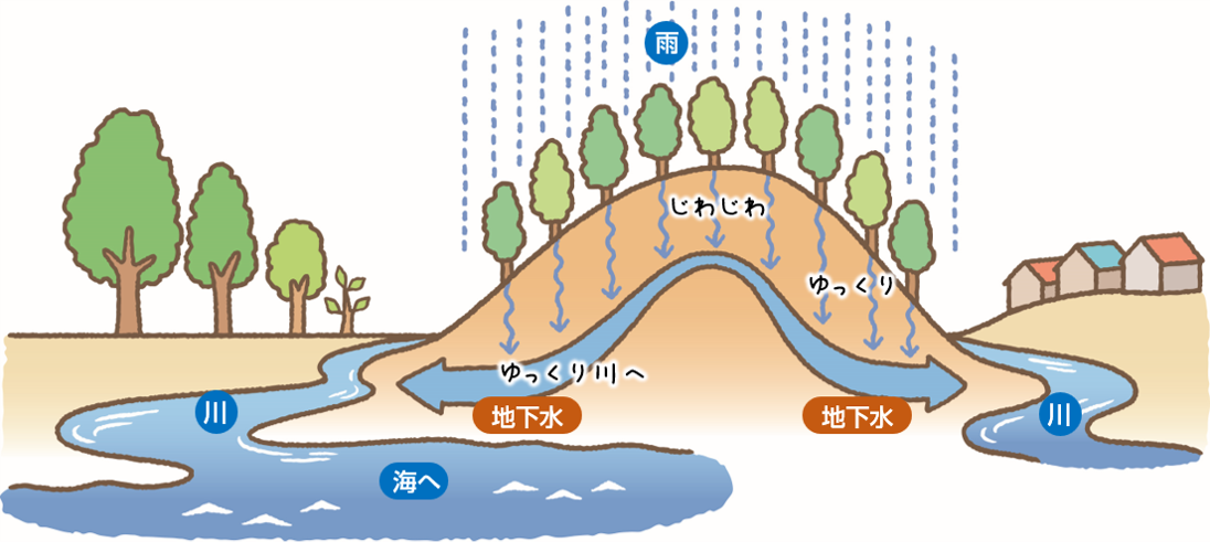 水源かん養林とは