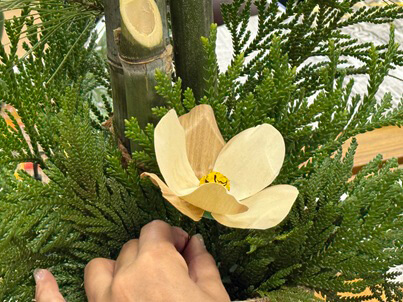 クラフト教室に使われたカツラの経木（令和７年12月９日）の写真