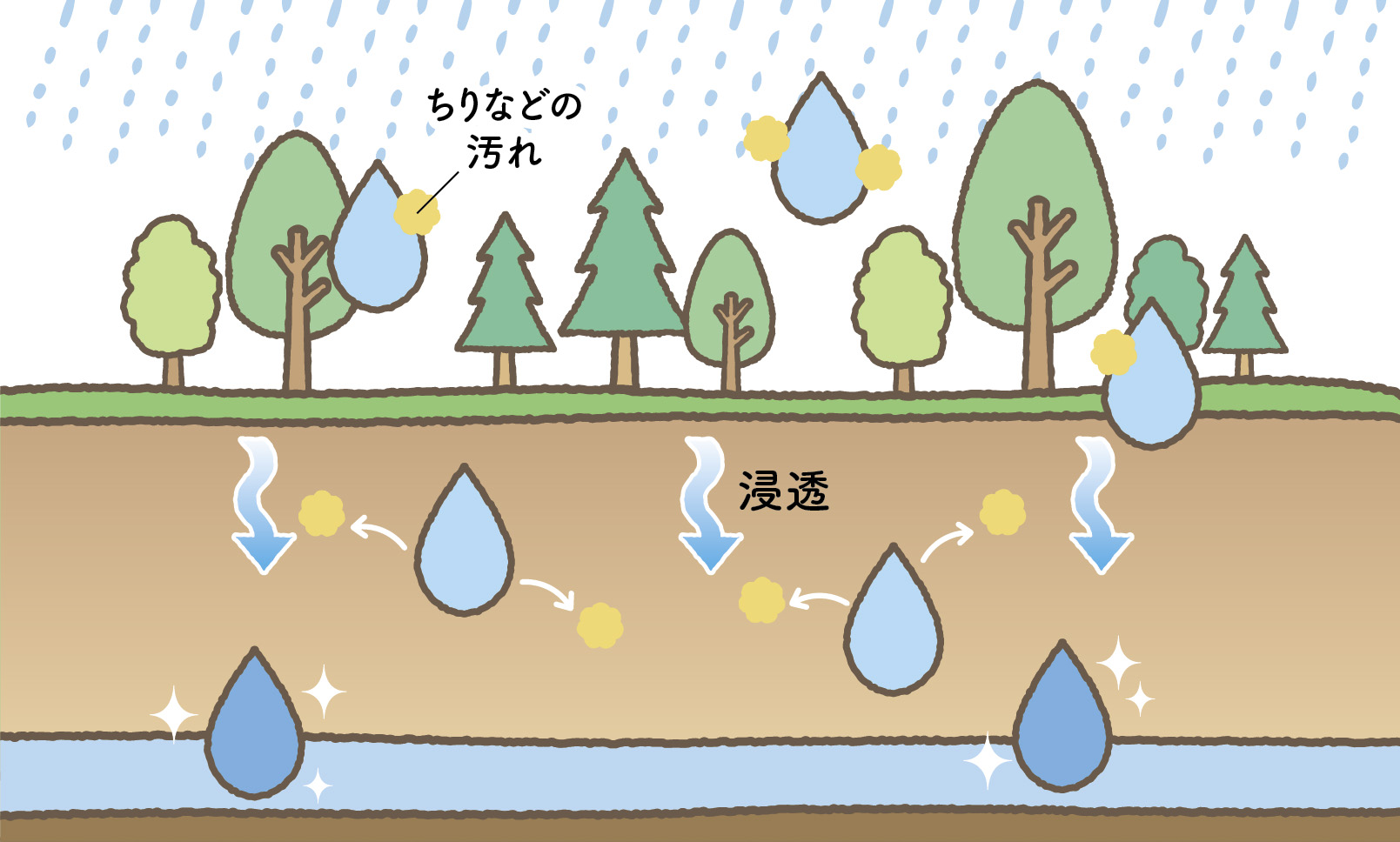 水をきれいにする