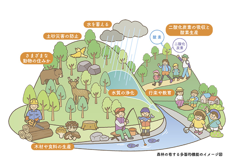 森林の多面的機能