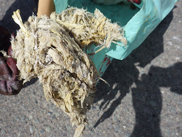 マンホールに流れてきた繊維系異物