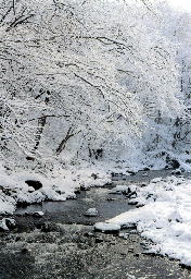 雪につつまれた静けさ