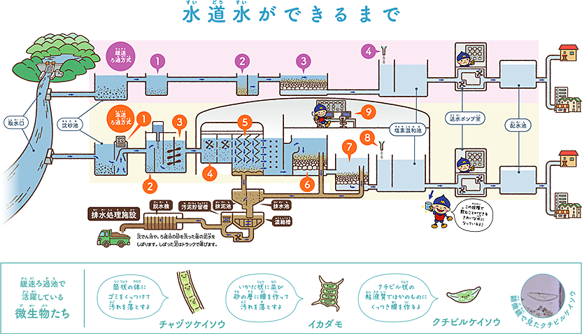 水道水ができるまで