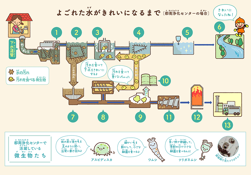 よごれた水がきれいになるまで